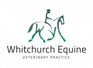 Richard Viles Vet Whitchurch Equine