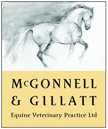 Mcgonnell & Gillat Vets