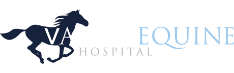 Valley Equine Vets